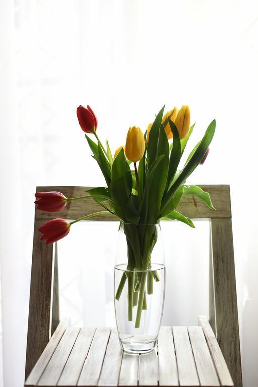 Apartament Kokolo